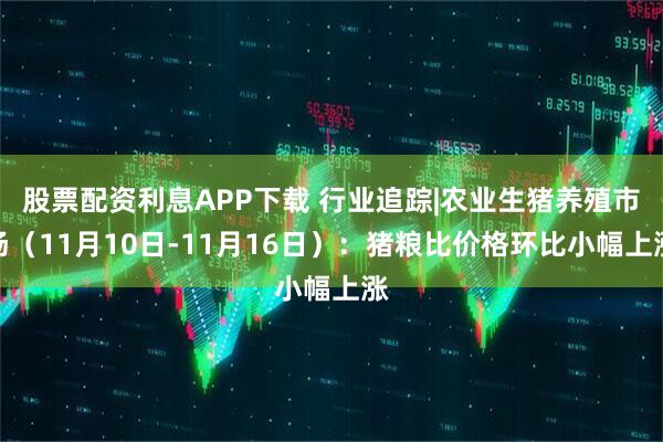 股票配资利息APP下载 行业追踪|农业生猪养殖市场（11月10日-11月16日）：猪粮比价格环比小幅上涨
