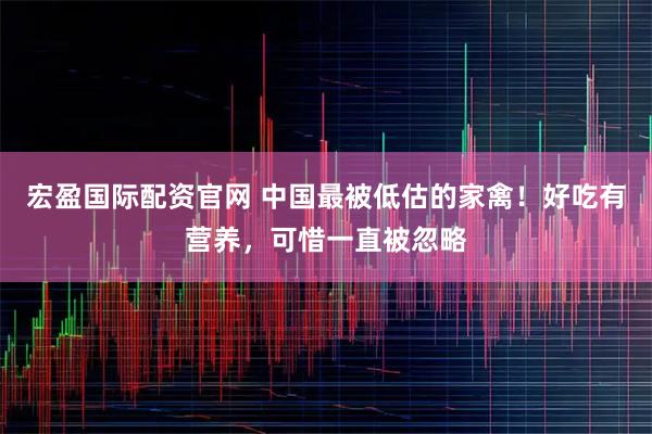 宏盈国际配资官网 中国最被低估的家禽！好吃有营养，可惜一直被忽略