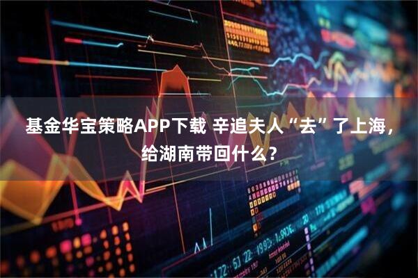基金华宝策略APP下载 辛追夫人“去”了上海，给湖南带回什么？